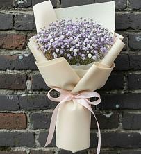 Букет цветов из:  Гипсофила в Тахте