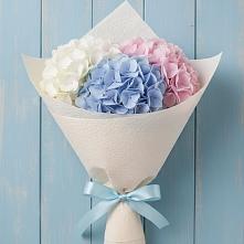 Букет цветов из:  Гортензия в Тахте