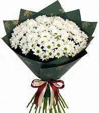 Букет цветов из:  Хризантемы в Тахте