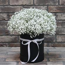Цветочная композиция из Гипсофила в шляпной коробке в Тахте